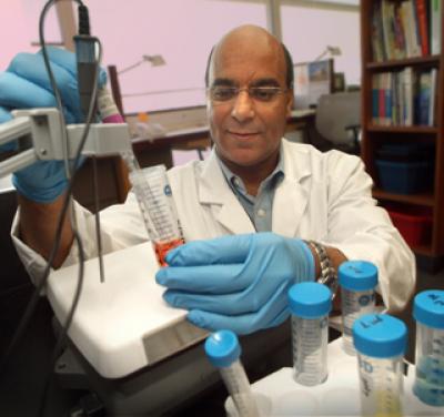 Labs
